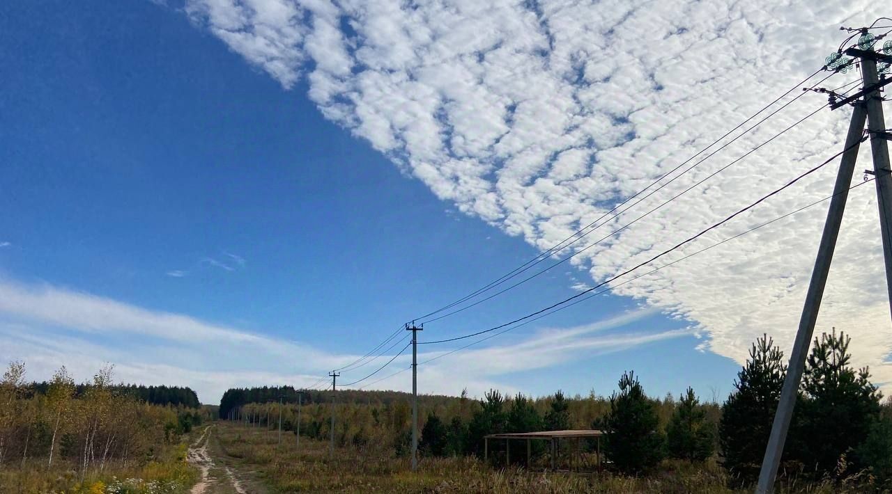 земля р-н Богородский с Афанасьево ул Филипповка фото 7