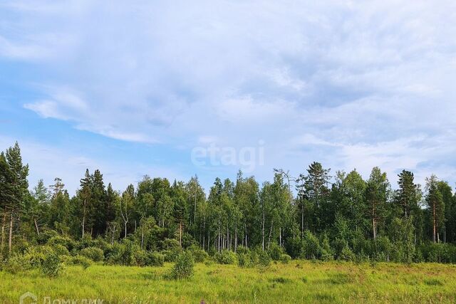 земля село Сухая фото