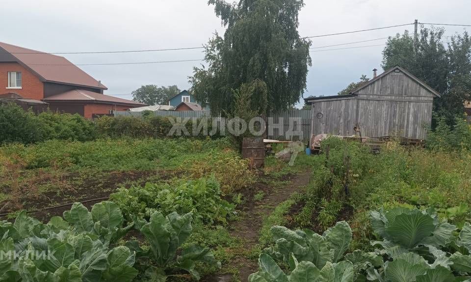 земля г Бердск городской округ Бердск, СНТ Слава фото 2