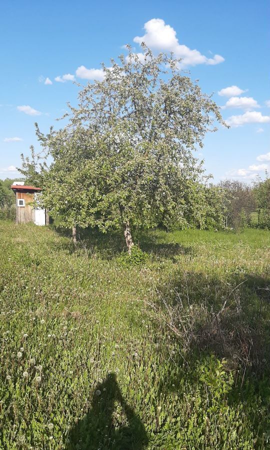 земля р-н Уфимский с Горново ул Центральная 27 сельсовет, Уфа, Красноярский фото 27