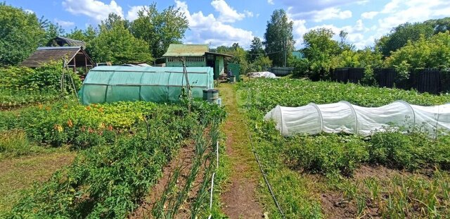 р-н Советский садоводческое общество Десна-2 фото