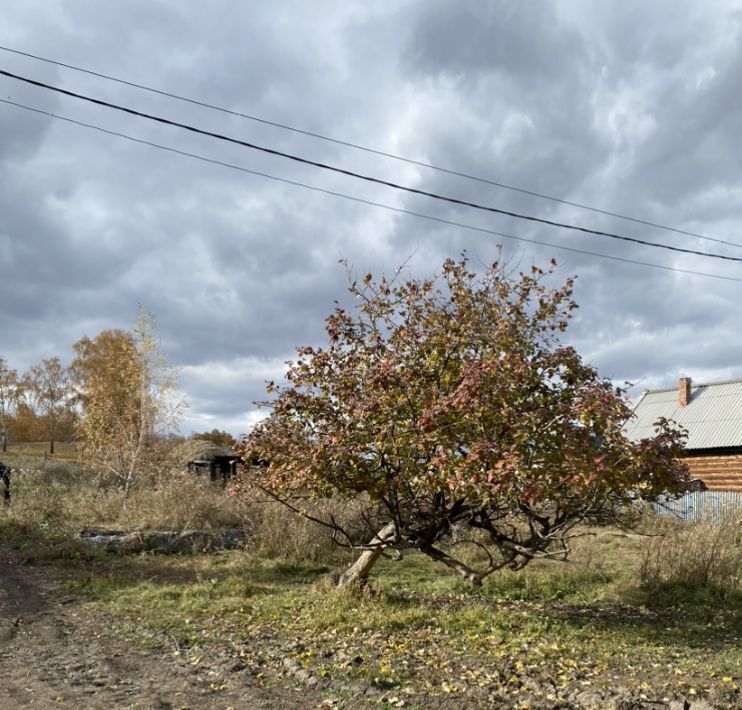 земля р-н Абзелиловский д Аюсазово ул Школьная Ташбулатовский сельсовет фото 8