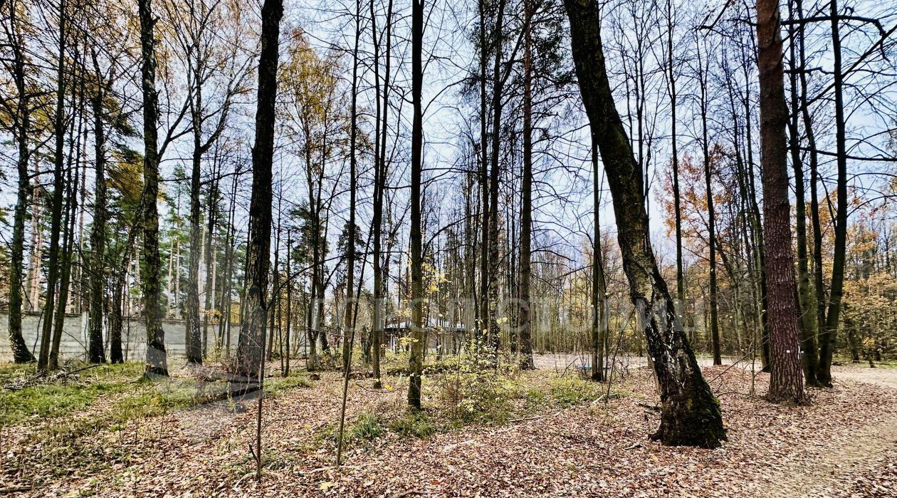 земля городской округ Ленинский д Жабкино Бульвар Дмитрия Донского фото 1