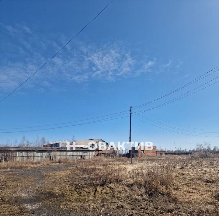 производственные, складские р-н Каргатский г Каргат ул Советская 4 городское поселение Каргат фото 19