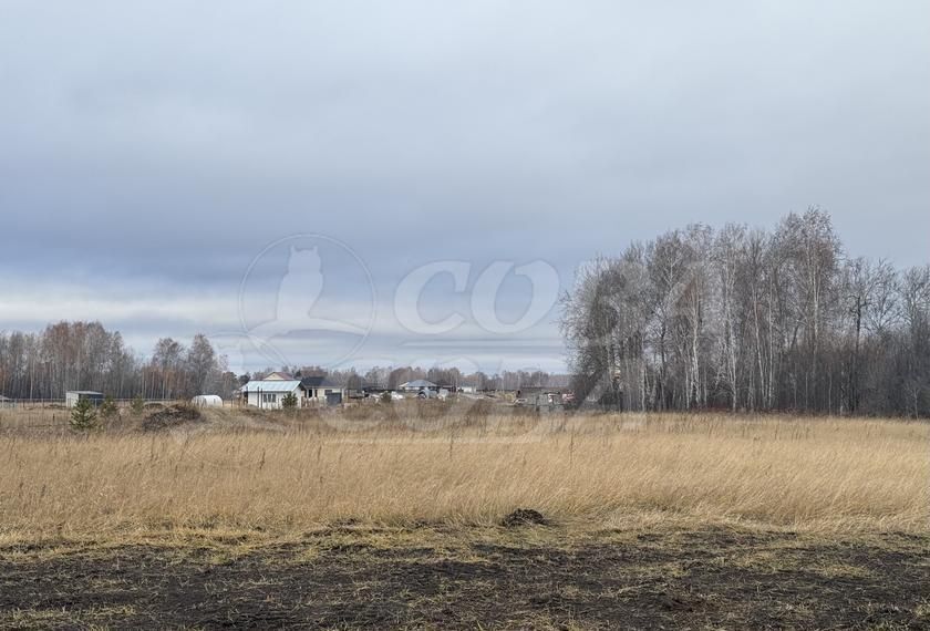 земля р-н Тюменский с Каменка ул Сосновая Тюмень фото 2