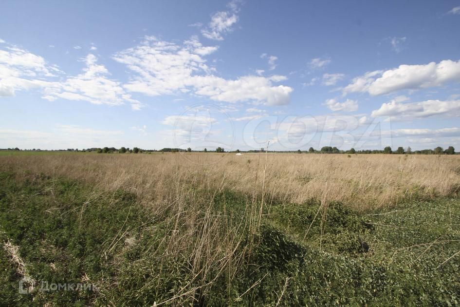 земля г Тюмень городской округ Тюмень, Ленинский округ фото 7