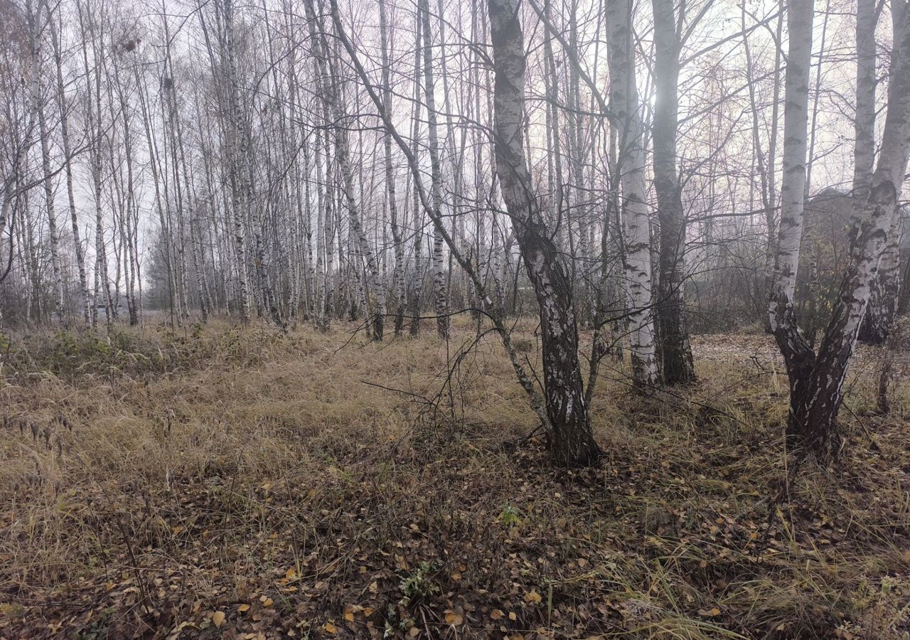 земля городской округ Орехово-Зуевский садовое товарищество Три Сестры, Орехово-Зуево фото 3