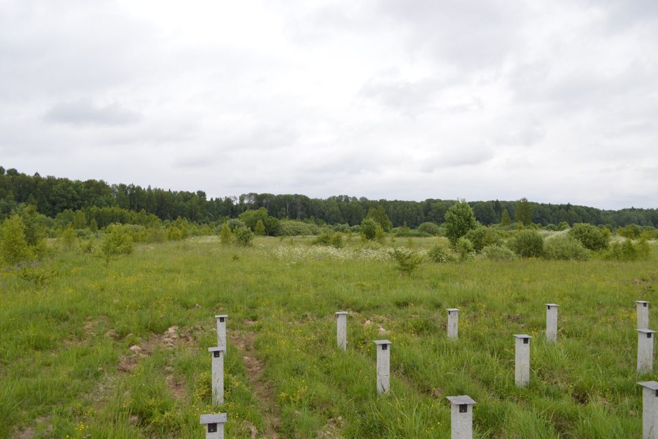 земля городской округ Можайский фото 4