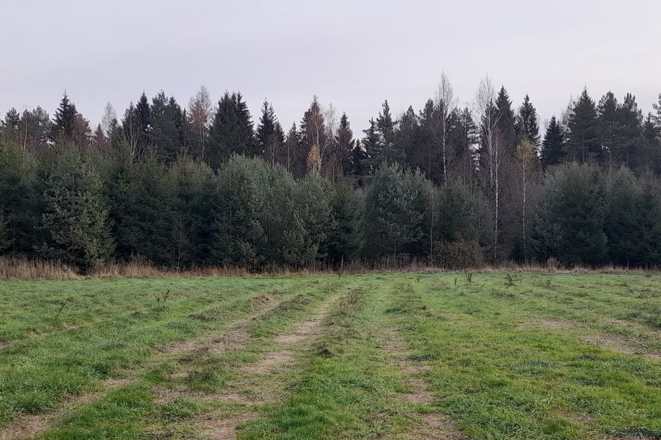 земля городской округ Клин Решетниково фото 6