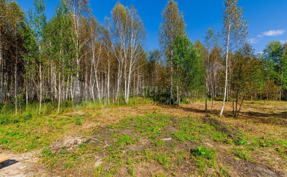 земля р-н Нижнетавдинский Тюневское сельское поселение, Тюмень фото 5