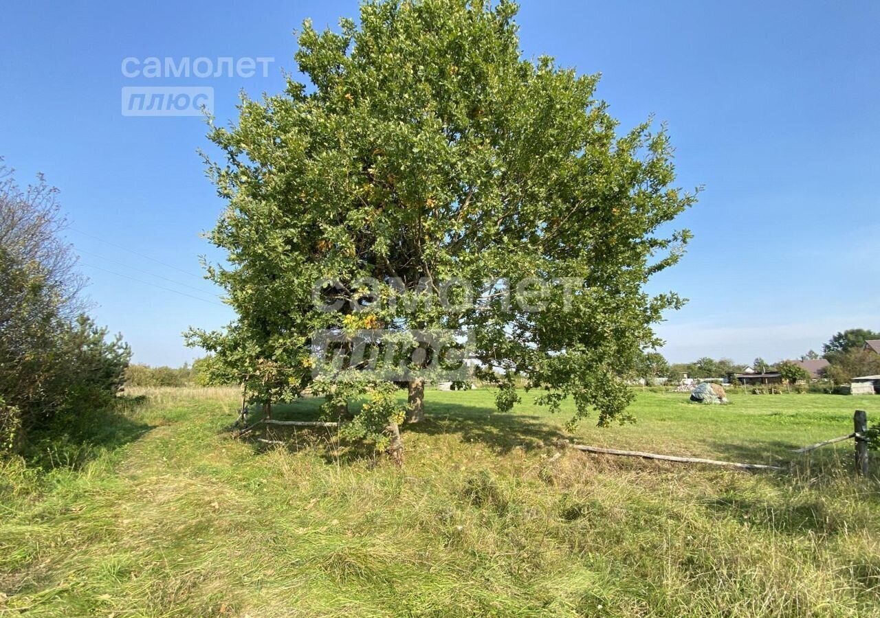 земля р-н Псковский д Толбица Середка, Серёдкинская волость фото 4