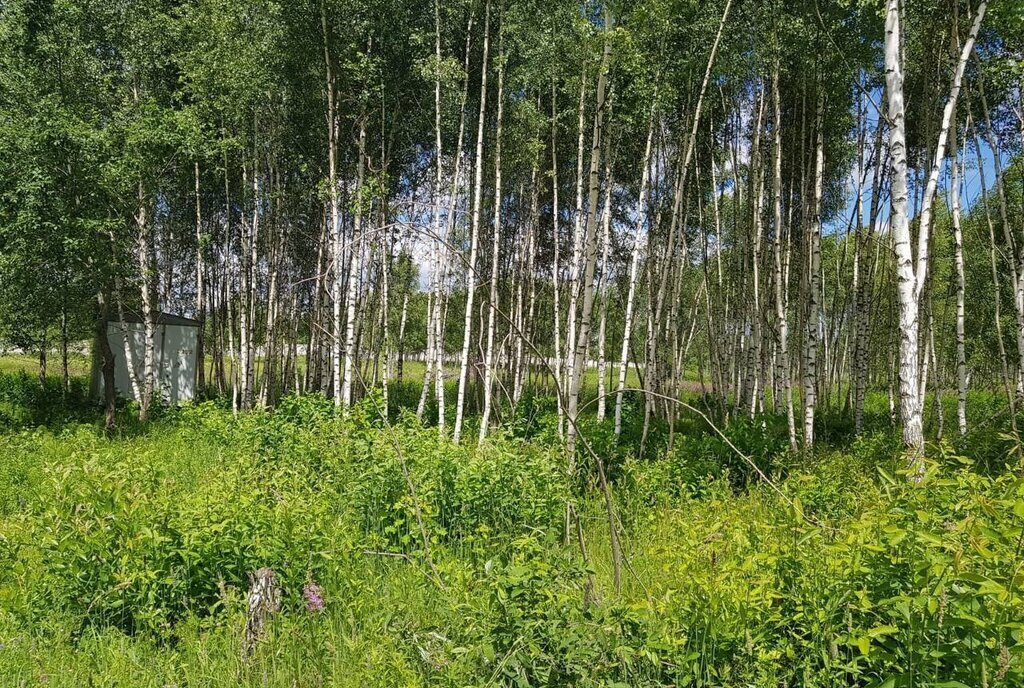 земля городской округ Дмитровский коттеджный посёлок Капорки, Лобня фото 22