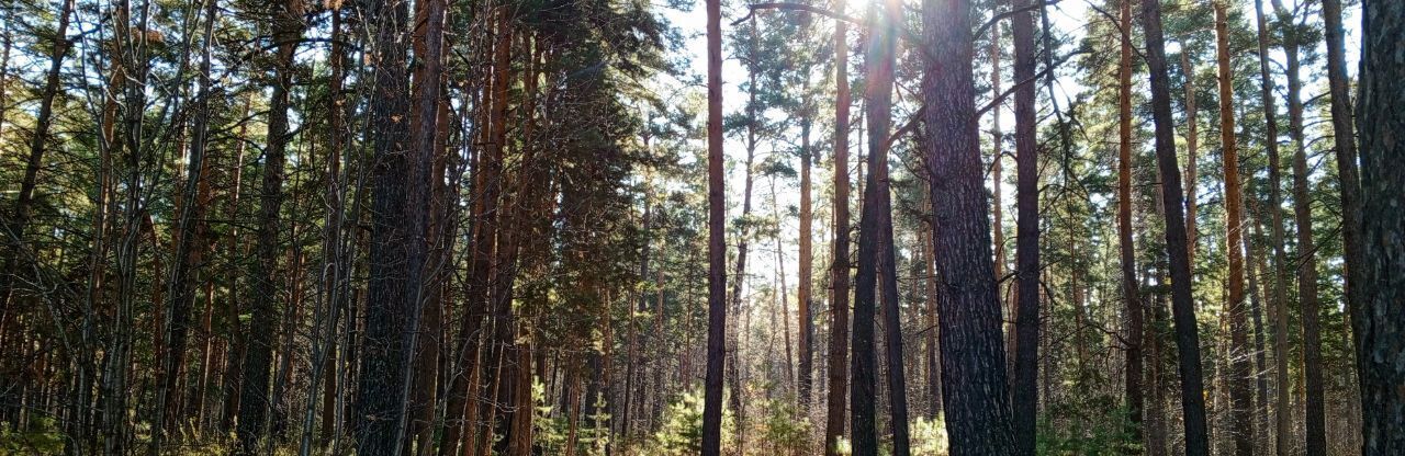 дом р-н Крутихинский с Долганка ул Заречная фото 41