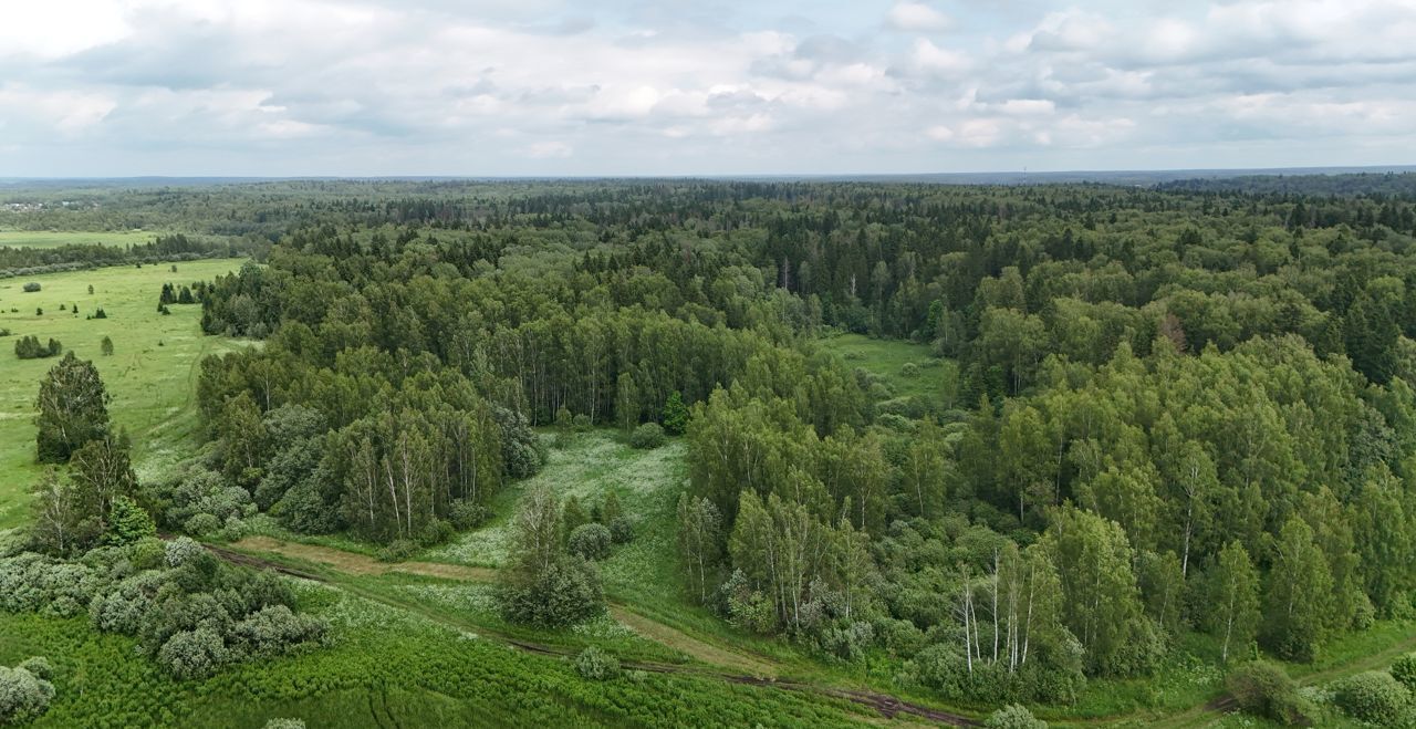 земля городской округ Истра п Глебовский 41 км, г. о. Истра, Волоколамское шоссе фото 5