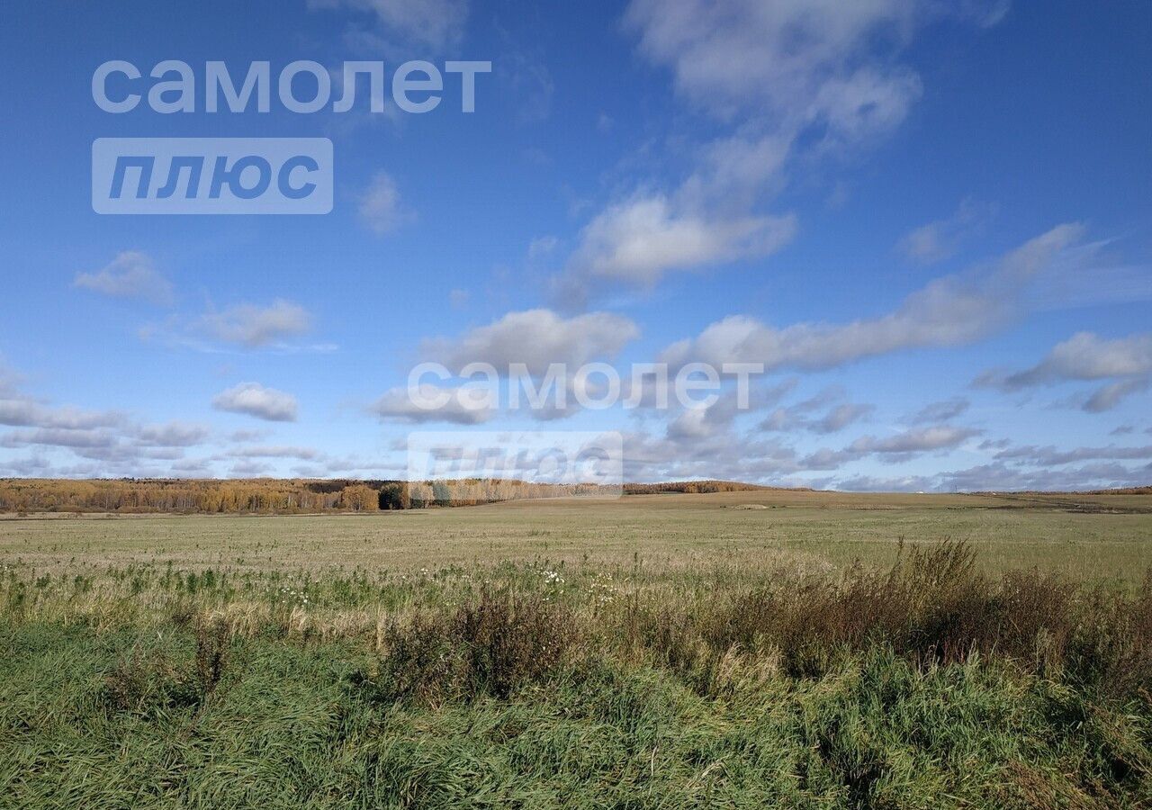 земля р-н Собинский д Юрино муниципальное образование Воршинское, Владимир фото 8