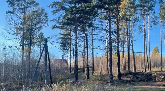 д Новолисиха п Еловый Ушаковское муниципальное образование фото