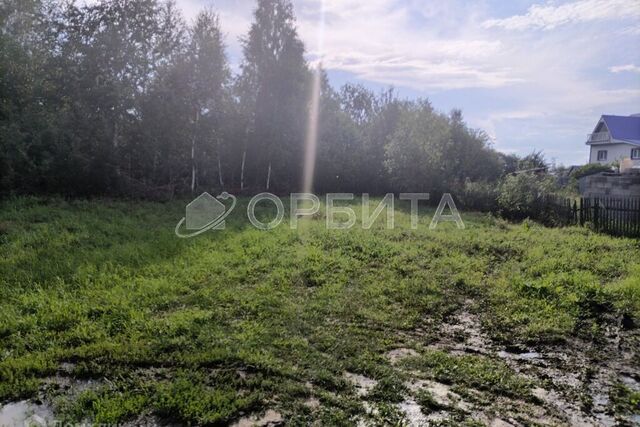 городской округ Тюмень, СНТ Надежда-3 фото