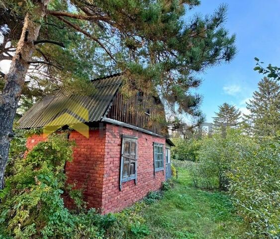 снт Виктория городской округ Омск, 9-я аллея, 253 фото