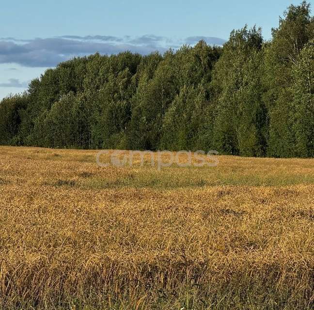 земля р-н Тюменский с Горьковка Совхозная фото 3