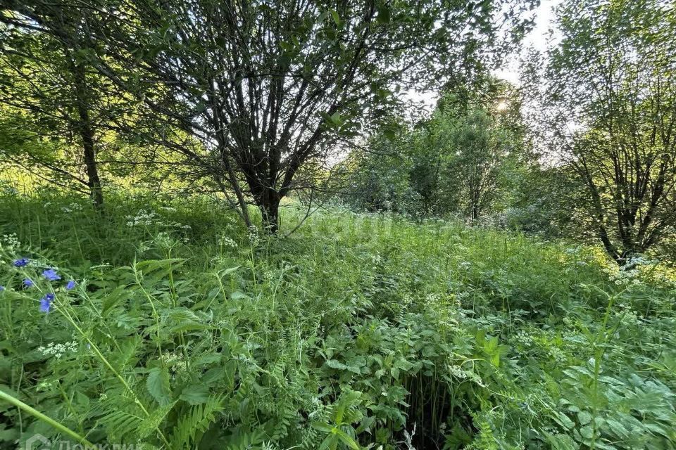 земля г Горно-Алтайск городской округ Горно-Алтайск, Садоводство Рассвет фото 2