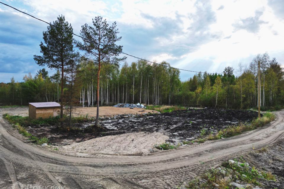 земля р-н Прионежский село Заозерье фото 3