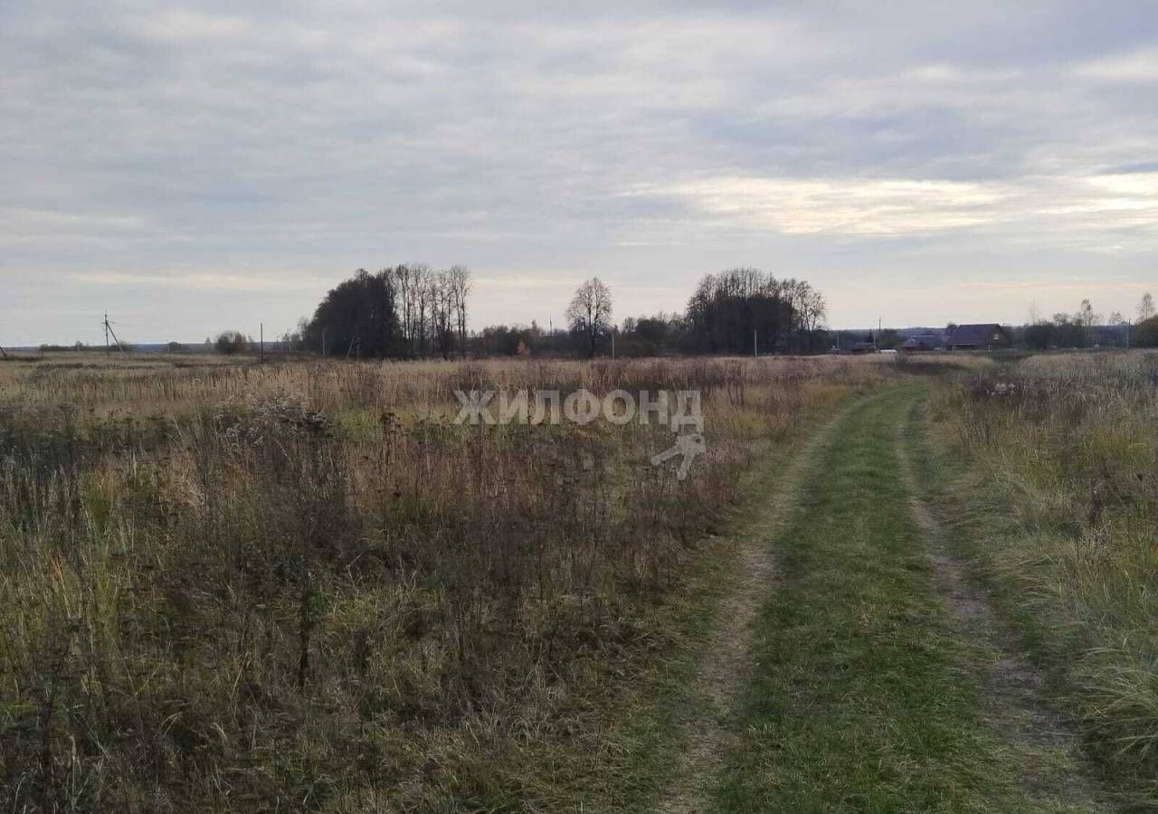 земля р-н Выгоничский с Палужье ул Школьная Кокинское сельское поселение, Добрунь фото 3