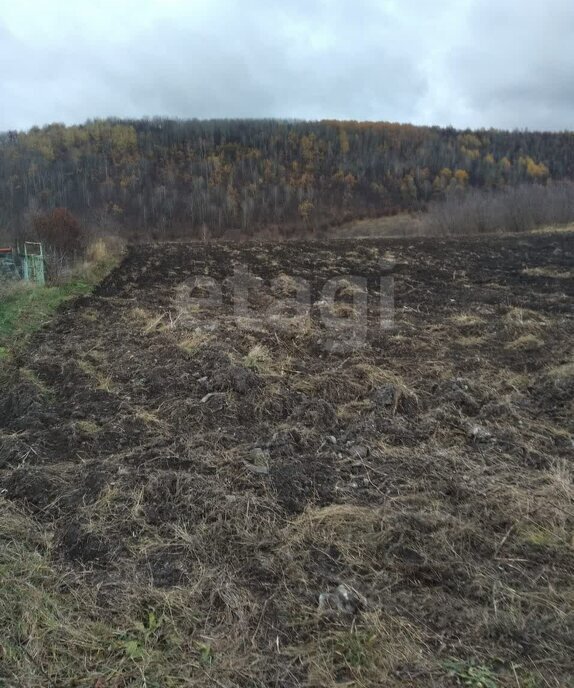 земля р-н Большеберезниковский с Гарт ул Трудовая фото 2