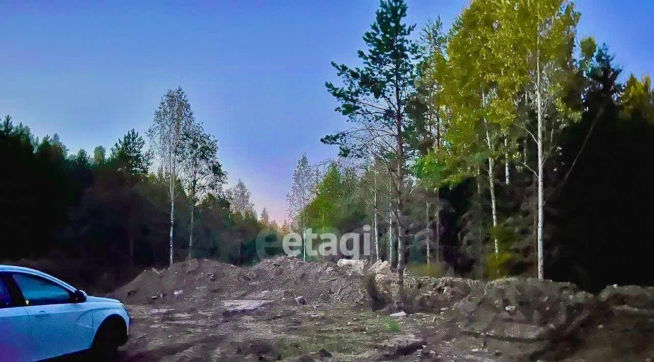 земля р-н Всеволожский г Всеволожск ул Камышовая 2 фото 4