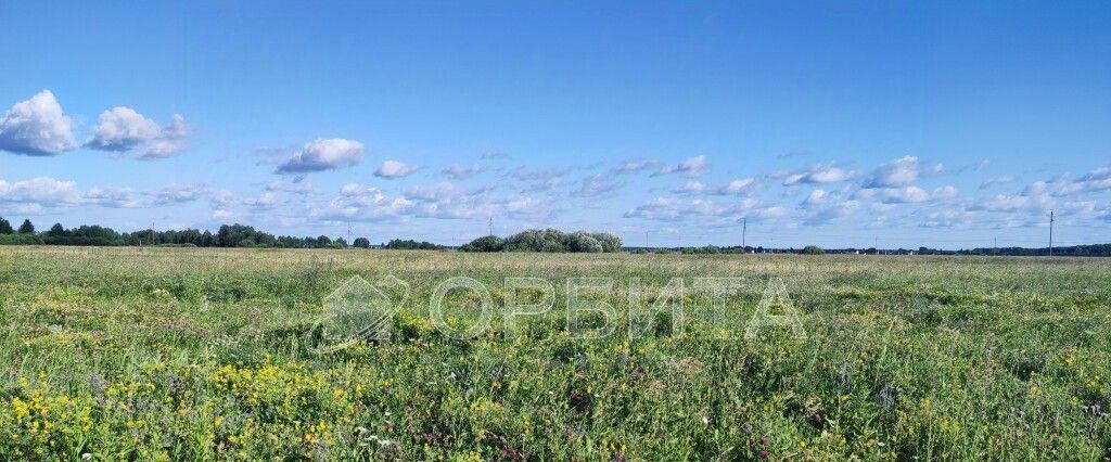 земля р-н Тюменский с Кулаково ул Ирбитский тракт фото 1