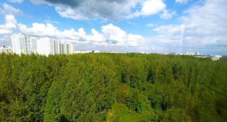 квартира г Орел р-н Северный ул Раздольная 26 фото 15