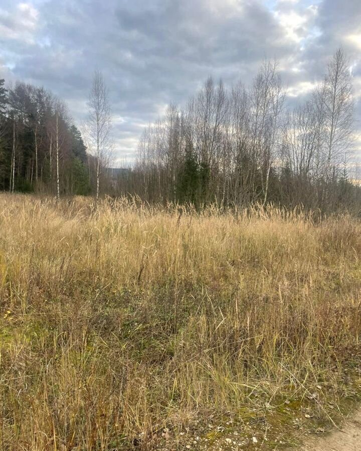 земля городской округ Шаховская д Пески 109 км, Новорижское шоссе фото 7