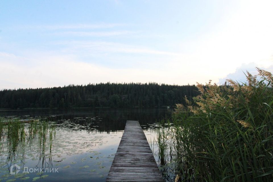 земля р-н Выборгский пос. Глубокое фото 5