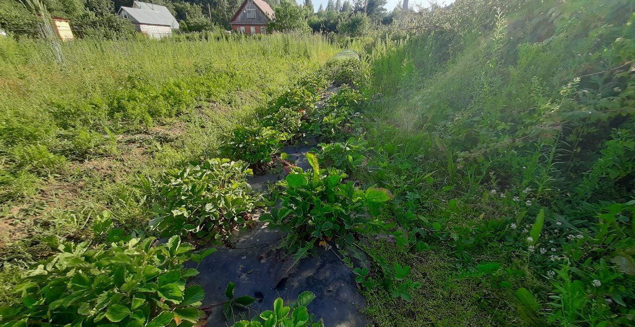 земля р-н Череповецкий д Лапач муниципальное образование Югское, Череповец фото 5