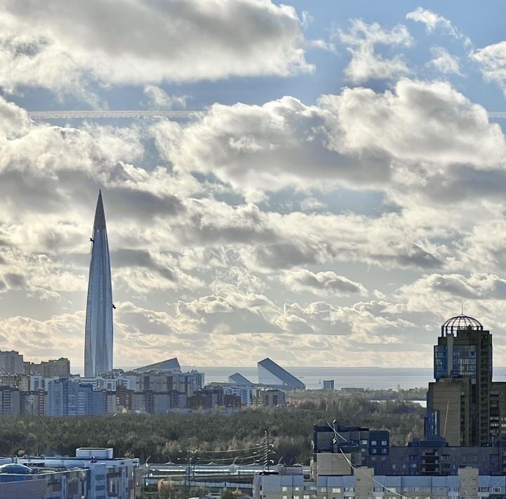 квартира г Санкт-Петербург метро Комендантский Проспект пр-кт Комендантский 53к/3 округ Коломяги фото 15