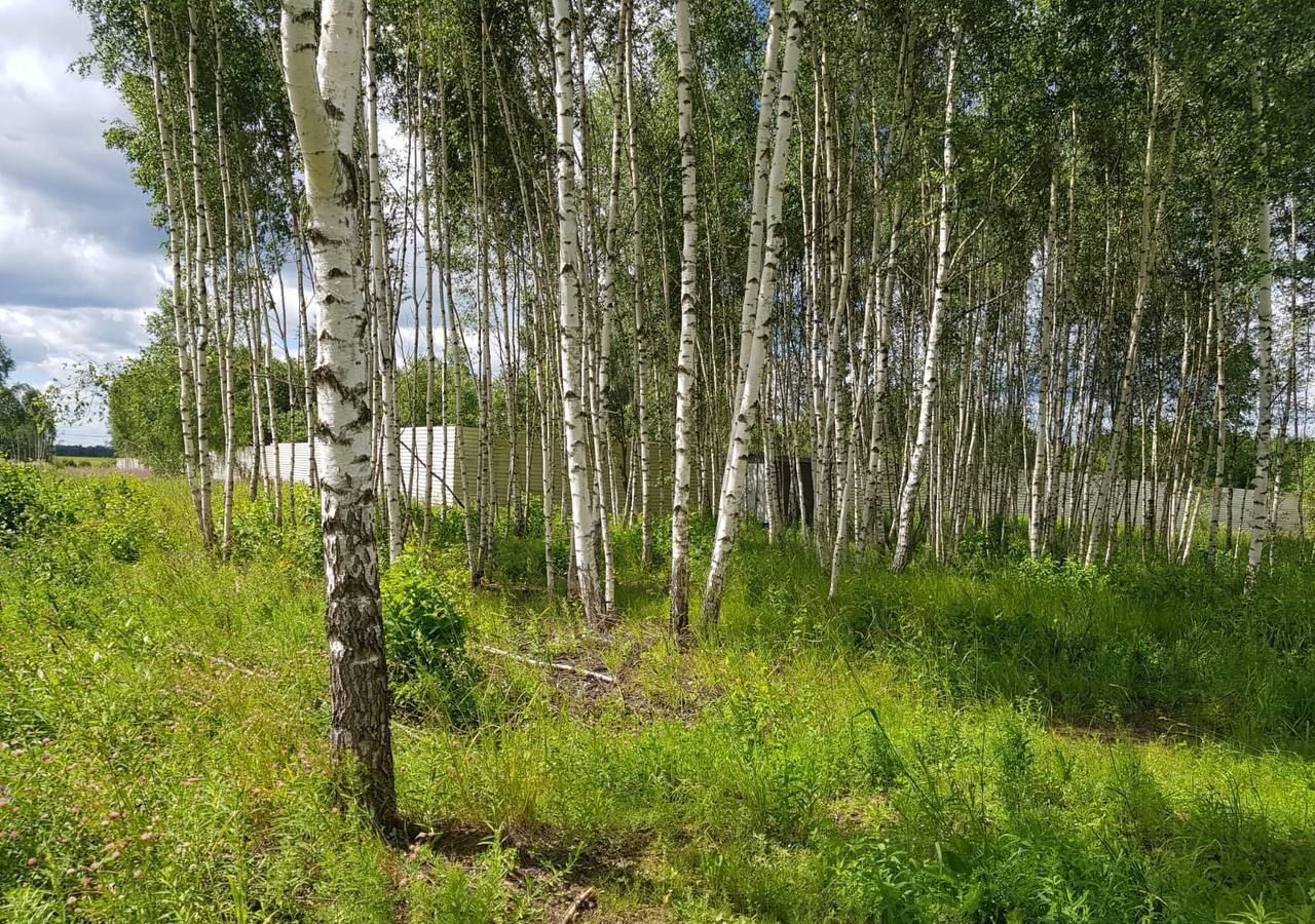 земля городской округ Дмитровский г Яхрома 41 км, коттеджный пос. Капорки, Дмитровское шоссе фото 11