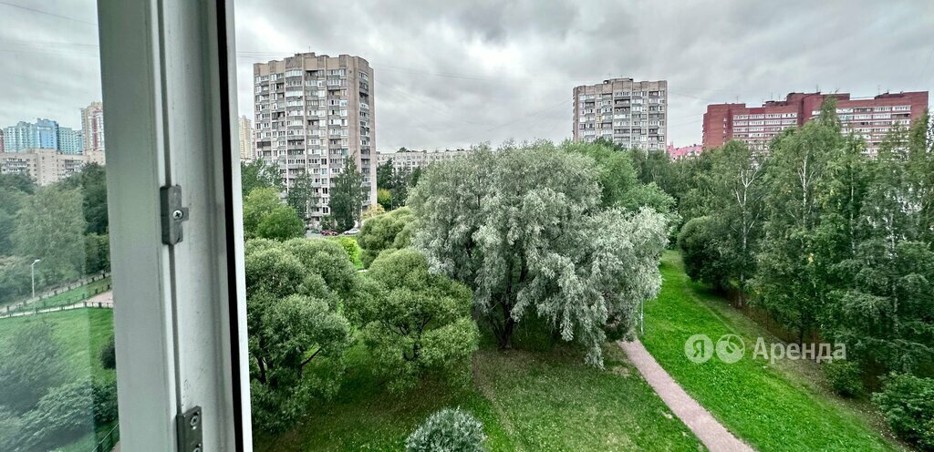 квартира г Санкт-Петербург метро Проспект Просвещения пр-кт Культуры 22к/2 округ № 15 фото 24