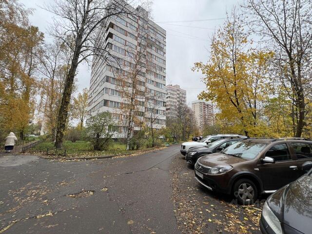 Ленинградская область фото