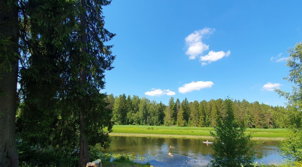 земля р-н Гатчинский Вырица городской поселок, ул. Таллинская фото 4