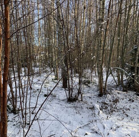 снт Березовая Долина Советское городское поселение фото