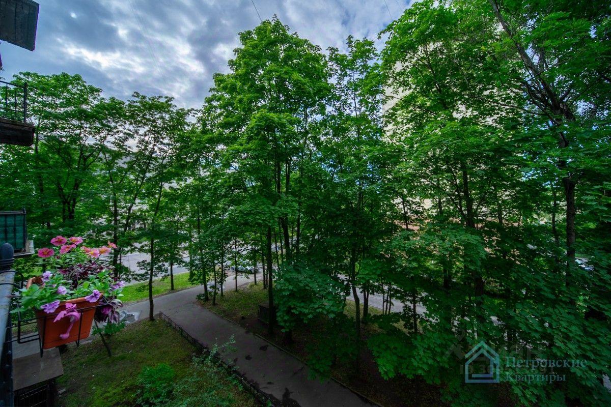 квартира г Санкт-Петербург пр-кт Удельный 31 округ Светлановское, Ленинградская область фото 35
