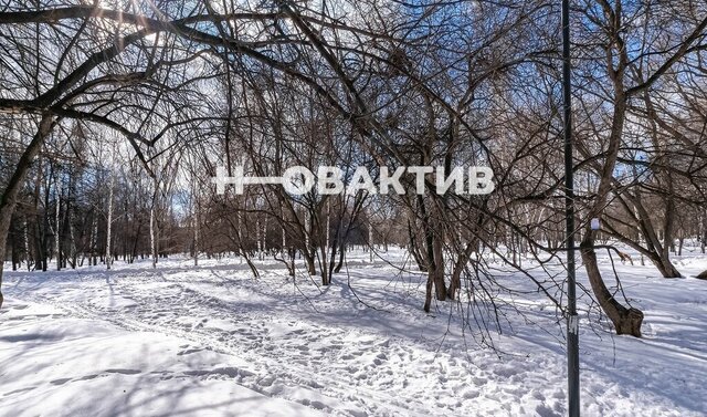 ул Сибиряков-Гвардейцев 14 Площадь Маркса фото