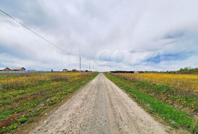 земля д Патрушева ул Червишевская Тюмень фото