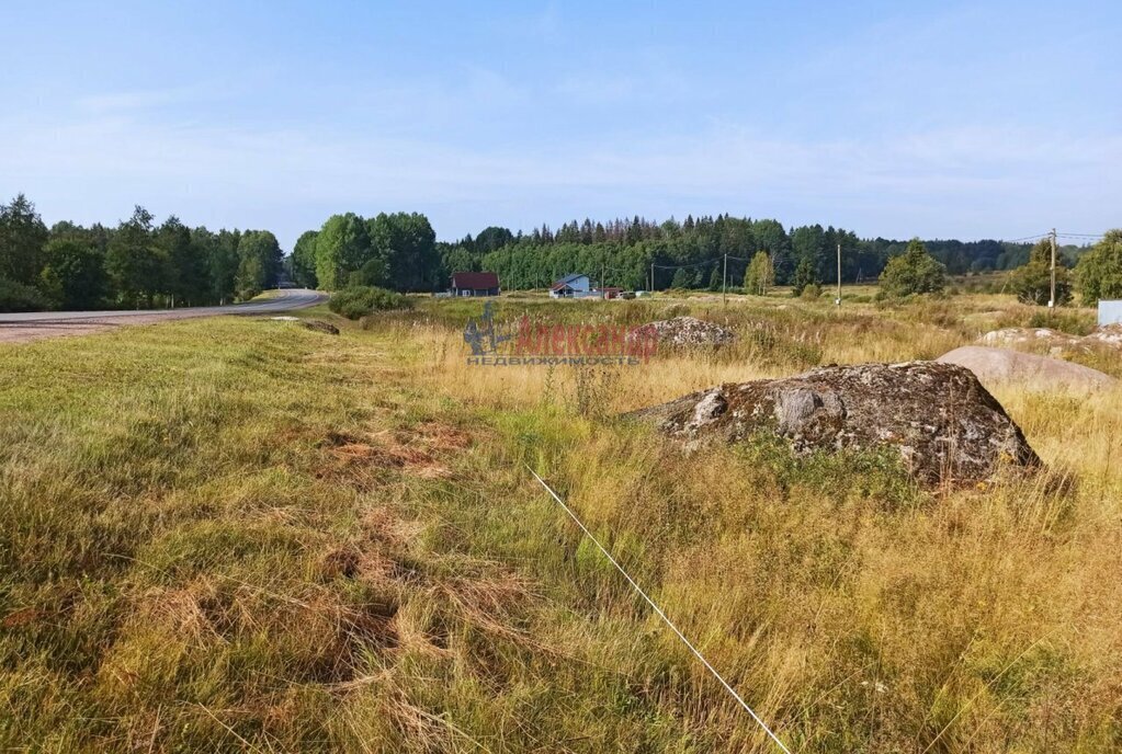 земля р-н Выборгский г Выборг р-н Сайменский СПК Шестаковский фото 3