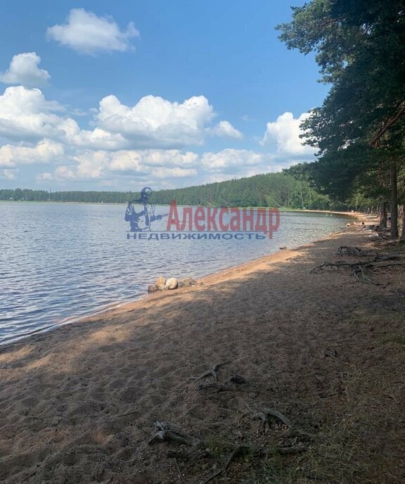 земля р-н Выборгский п Красная Долина Приморское городское поселение фото 9