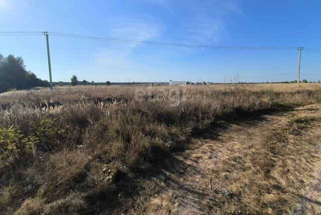 городской округ Коломенский с Нижнее Хорошово городской округ Коломна фото