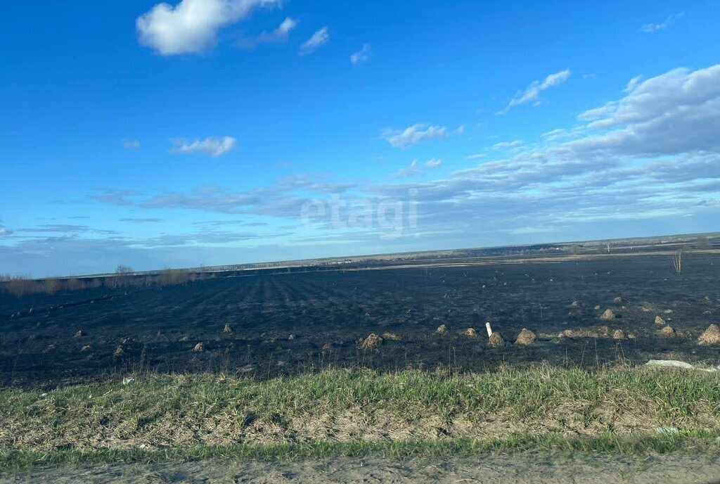 земля городской округ Коломна, село Никульское фото 3