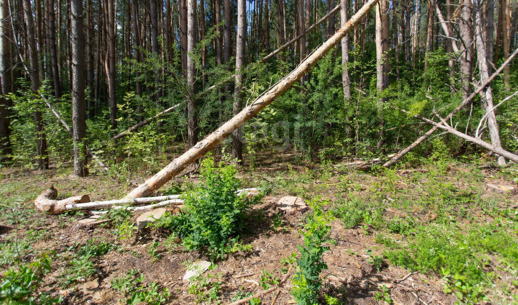 земля г Тобольск р-н мкр Усадьба фото 6