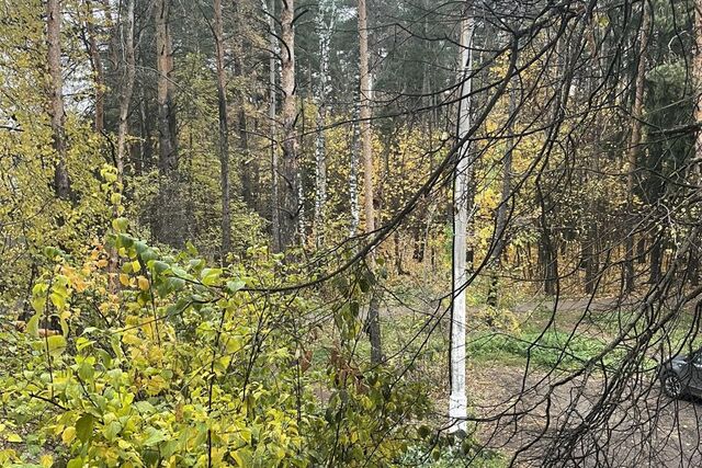 ул Московская 21 Балашиха городской округ, Московская область, Балашиха фото