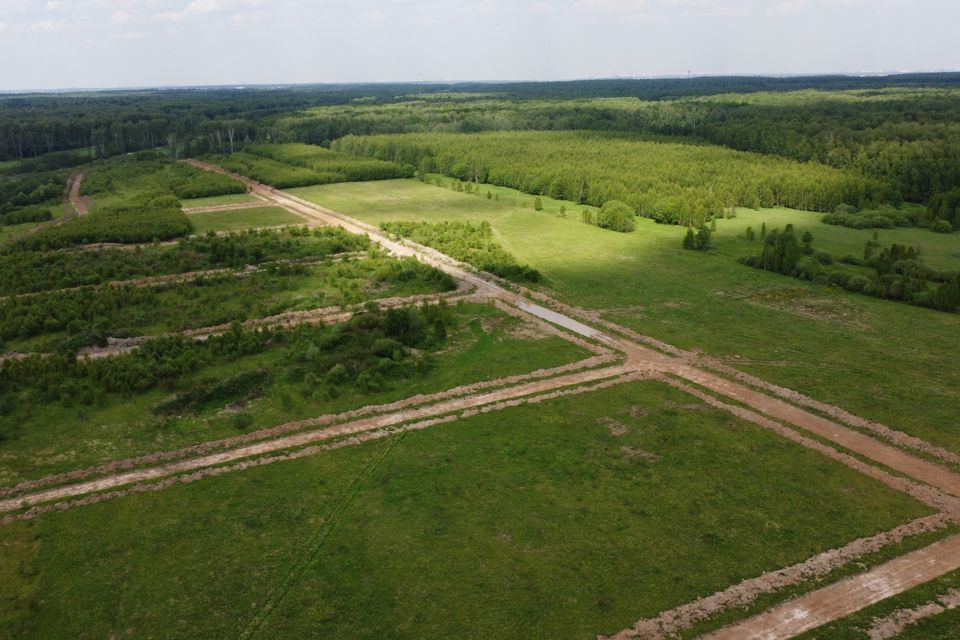 земля городской округ Раменский д. Васильево фото 5