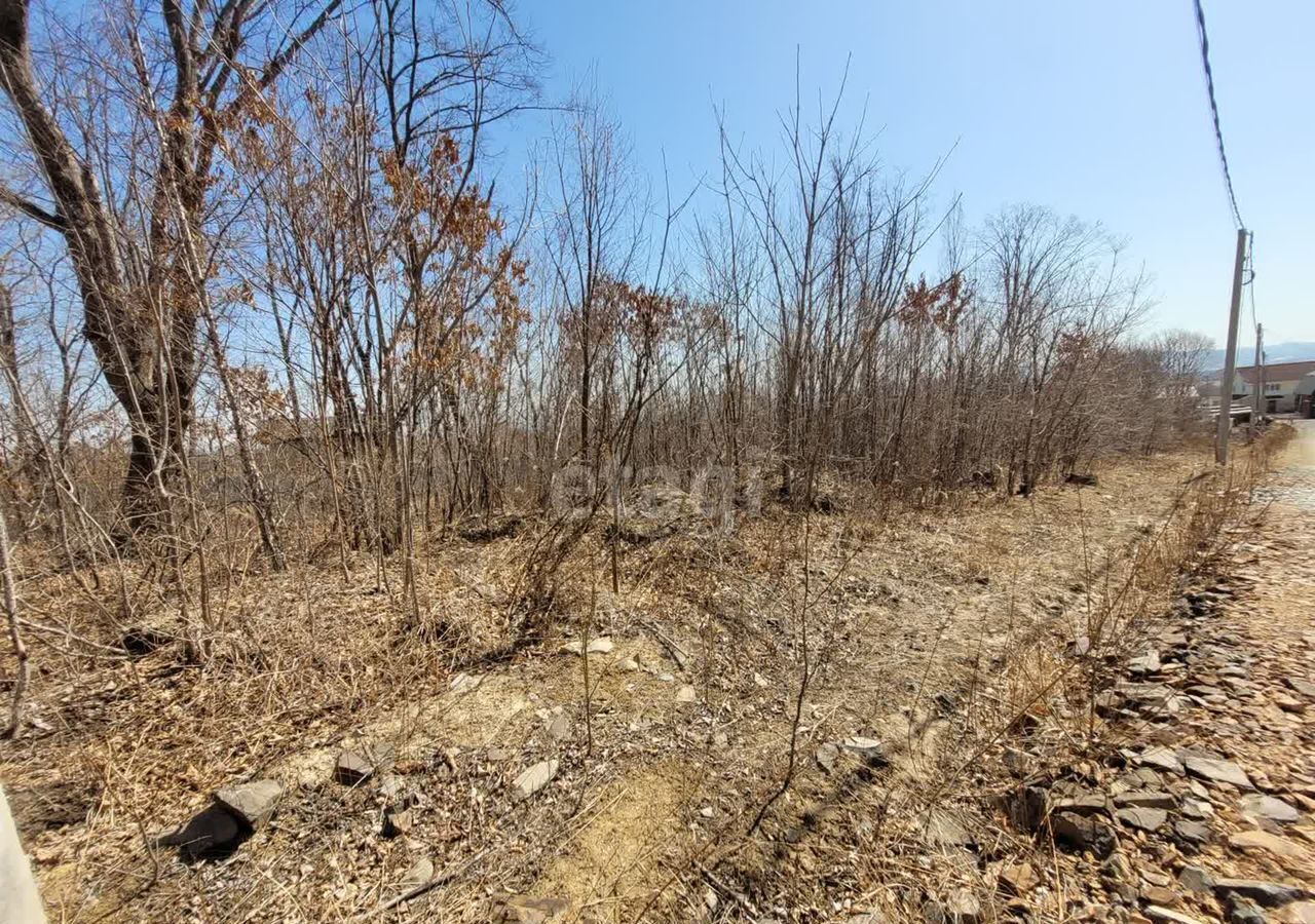 земля р-н Надеждинский п Соловей Ключ ул Центральная Новый фото 4